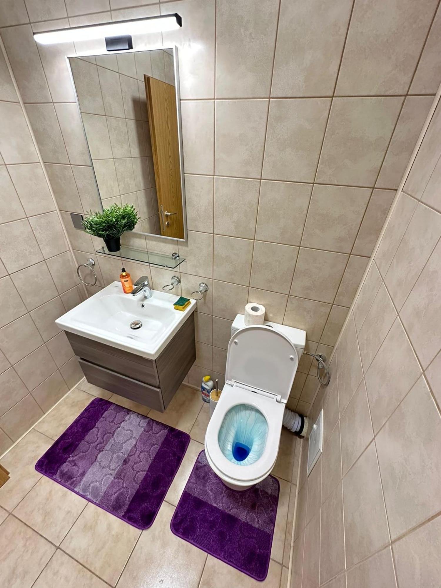 Centru Unirii Luxury Vip Palmier Apartament 2 Camere Cu Terasa Exterioara Amenajata ! Parcare Subterana Privata Climatizata Si Supravegheata Video Dar Doar Cu Rezervare In Limita Locurilor Disponibile !Proprietate In Regim Hoteliep - Nu Are Bucatarie Bucarest Esterno foto