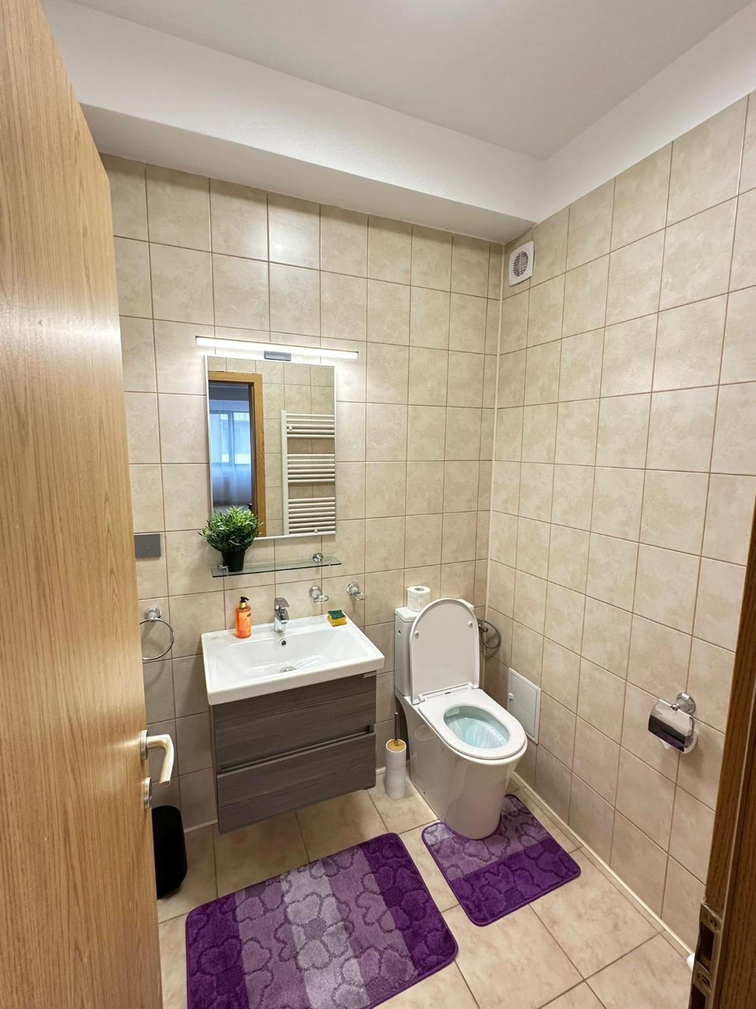 Centru Unirii Luxury Vip Palmier Apartament 2 Camere Cu Terasa Exterioara Amenajata ! Parcare Subterana Privata Climatizata Si Supravegheata Video Dar Doar Cu Rezervare In Limita Locurilor Disponibile !Proprietate In Regim Hoteliep - Nu Are Bucatarie Bucarest Esterno foto
